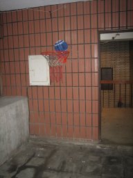 Our “court” hoop